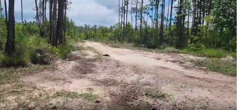 104 NW 1st Ave Palatka 104 NW 1st Ave Palatka