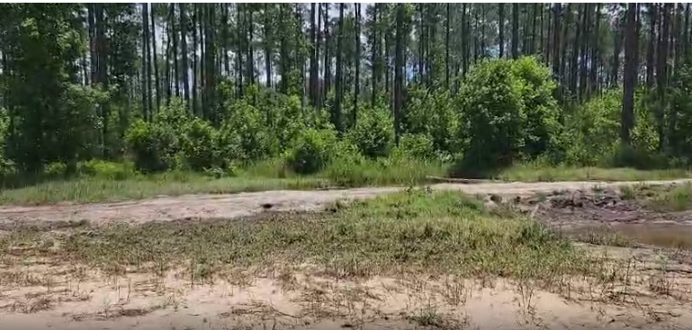 104 NW 1st Ave Palatka 104 NW 1st Ave Palatka