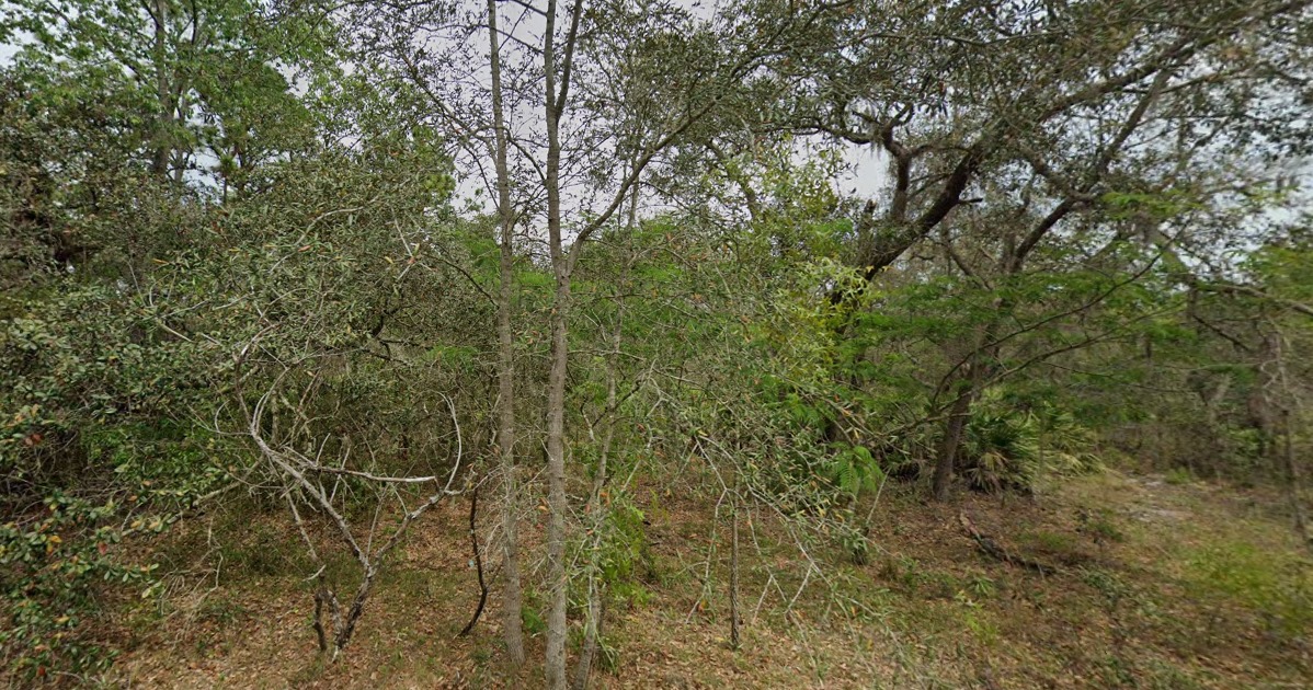 Great Piece of Land Great Piece of Land
